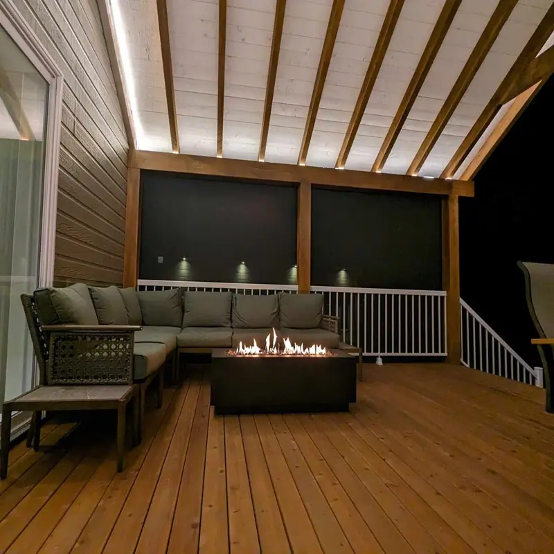 T_epervier_2022b 800x800px merisier russe